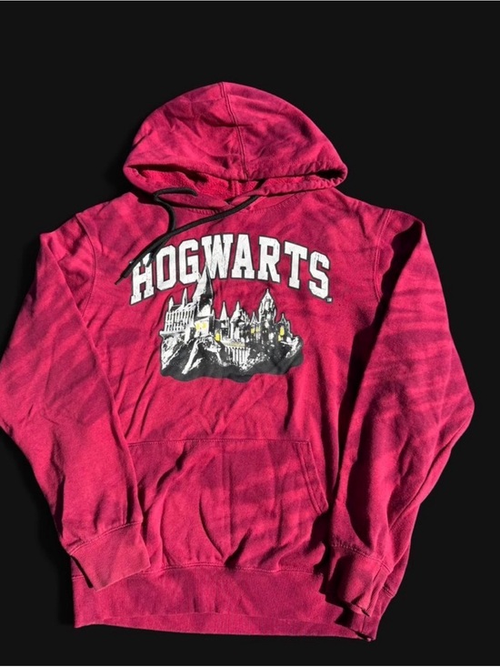 Warner Bros. Other - Warner Bros. Hogwarts Crewneck Hoodie in Deep Pink